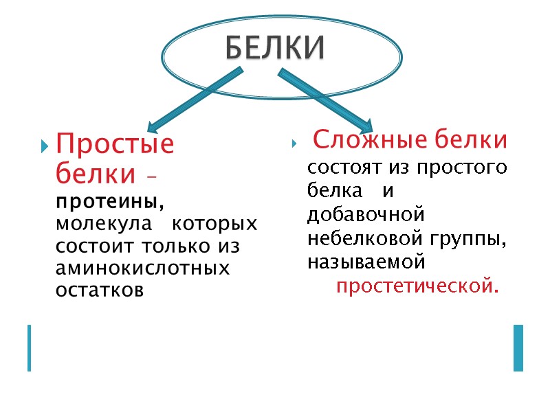 БЕЛКИ Простые белки - протеины,  молекула   которых   состоит только